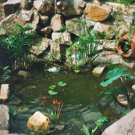 Дом отдыха Caserio Burgo Goikoa 1